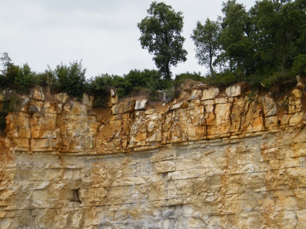 Cantera de Piedra Caliza